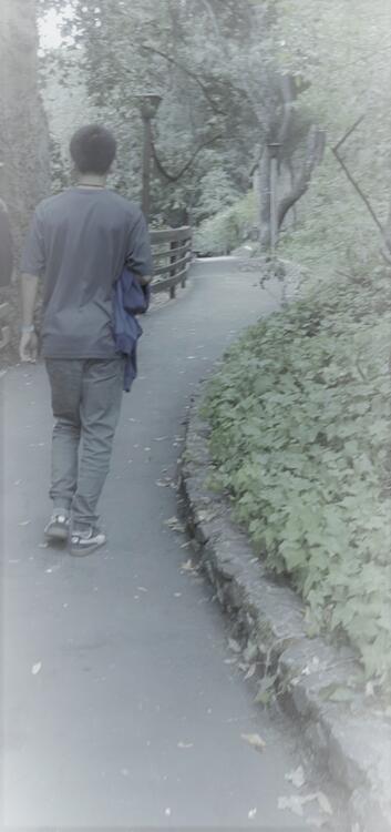 xin xin